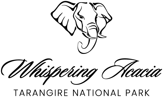 The Whispering Acacia luxury bushcamp logo with minimalist elephant illustration